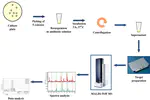 Evaluation of MALDI-TOF MS for Prediction of Antimicrobial Resistance in Mastitis Associated Bacterial Species